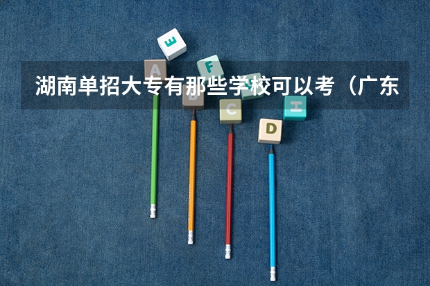 湖南单招大专有那些学校可以考（广东省最低分的公办大专）