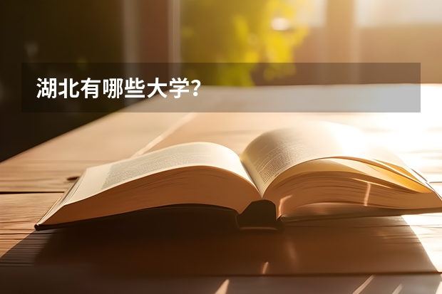 湖北有哪些大学?
