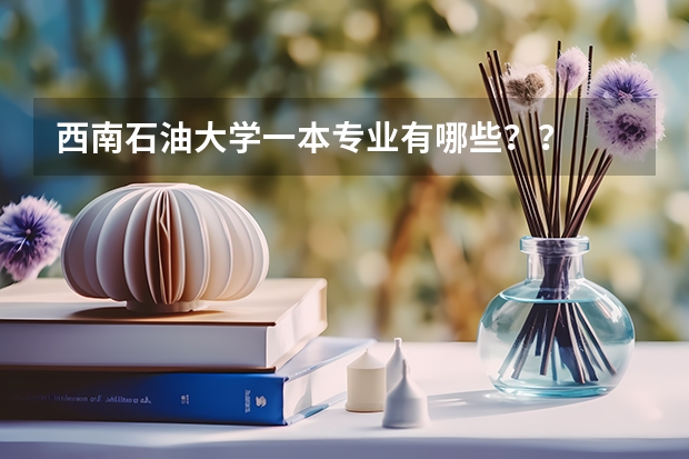 西南石油大学一本专业有哪些??