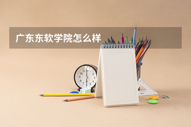 广东东软学院怎么样