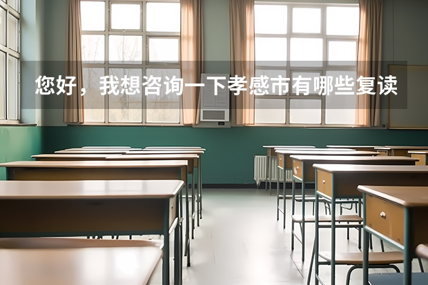 您好，我想咨询一下孝感市有哪些复读学校适合理科生的？