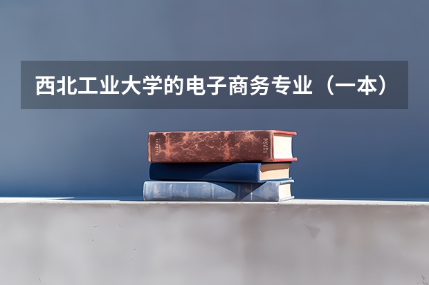 西北工业大学的电子商务专业（一本）就业前景如何