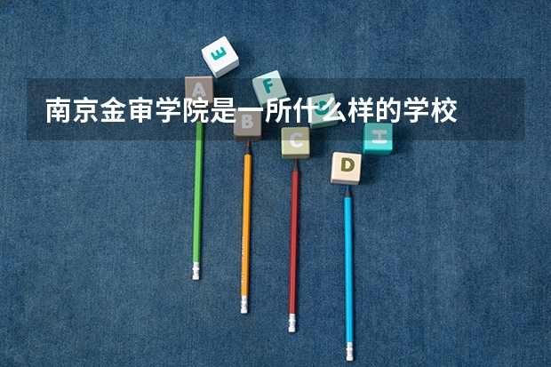南京金审学院是一所什么样的学校