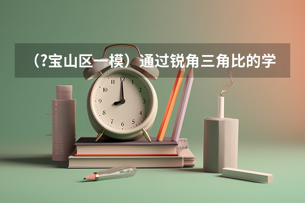 (?宝山区一模)通过锐角三角比的学习,我们已经知道在直角三角形中,一个锐角的大小与两条边长的比((?宝山区一模)分析有关科学探究的资料,回答问题.某生物兴趣小组进行的光合作用实验:利用打孔器)