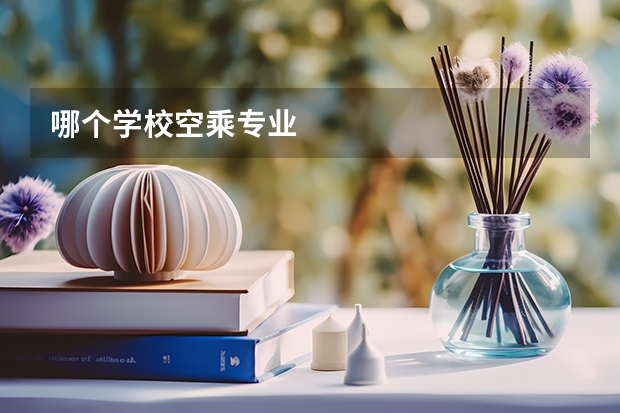 哪个学校空乘专业