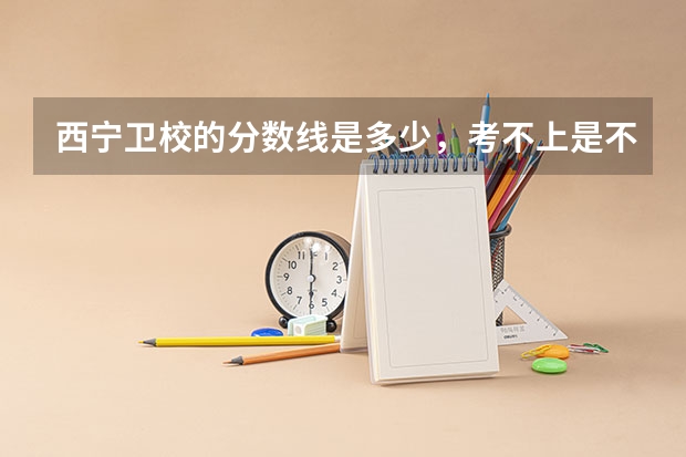 西宁卫校的分数线是多少，考不上是不是不要啊