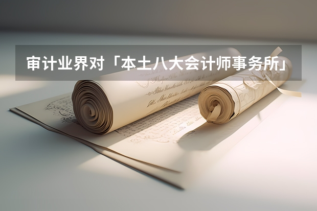 审计业界对「本土八大会计师事务所」存在什么了解和误解?