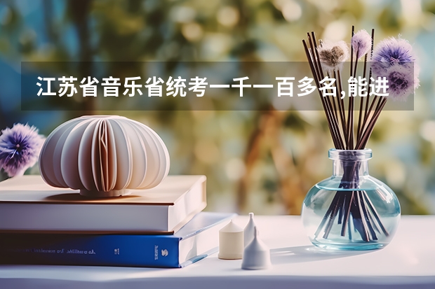 江苏省音乐省统考一千一百多名,能进什么学校?