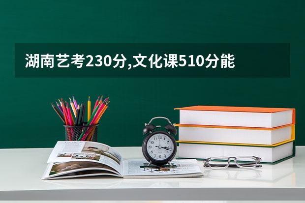 湖南艺考230分,文化课510分能上什么大学如果有这个分，想报考外省的美术生？