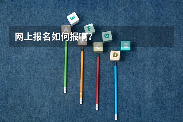 网上报名如何报啊?