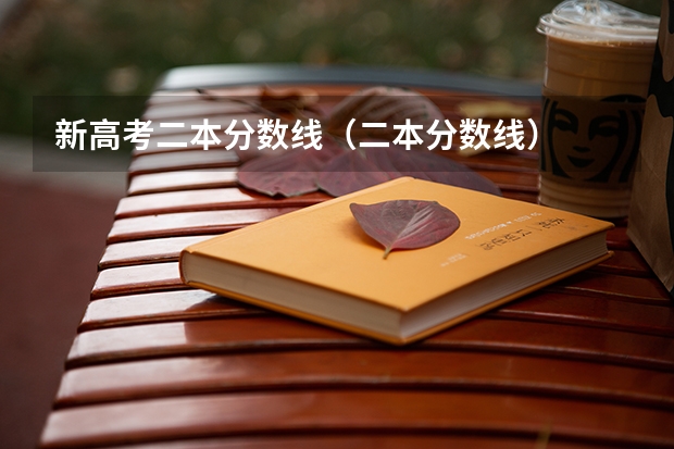 新高考二本分数线（二本分数线）
