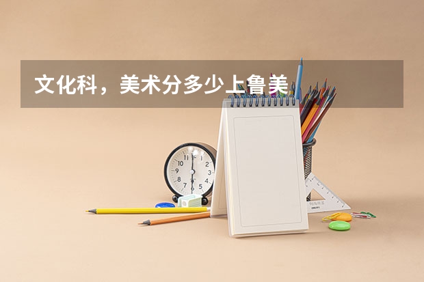 文化科,美术分多少上鲁美