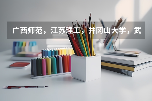 广西师范,江苏理工,井冈山大学,武汉体育,美术生,哪个学校比较好啊