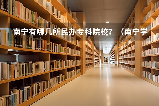 南宁有哪几所民办专科院校?(南宁学院是公办还是民办)