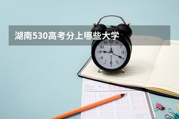 湖南530高考分上哪些大学