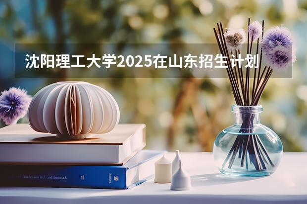 沈阳理工大学2025在山东招生计划