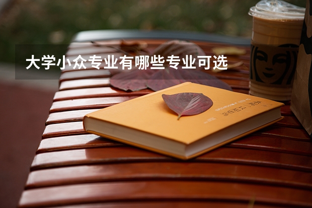 大学小众专业有哪些专业可选