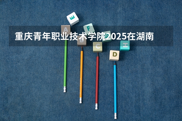 重庆青年职业技术学院2025在湖南招生计划