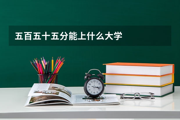 五百五十五分能上什么大学