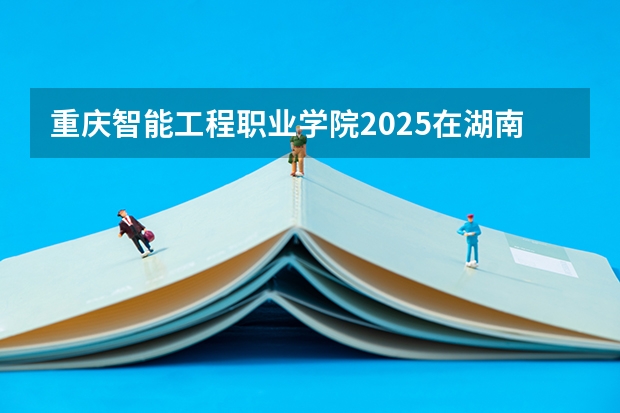 重庆智能工程职业学院2025在湖南招生计划