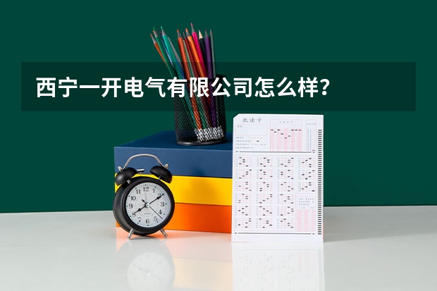 西宁一开电气有限公司怎么样？
