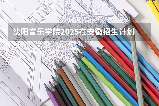 沈阳音乐学院2025在安徽招生计划