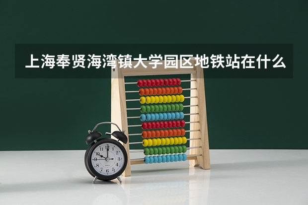 上海奉贤海湾镇大学园区地铁站在什么位置