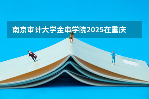南京审计大学金审学院2025在重庆招生计划
