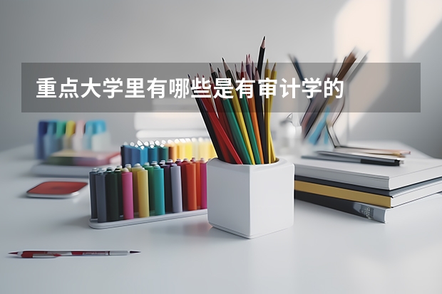 重点大学里有哪些是有审计学的