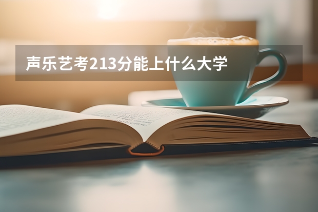 声乐艺考213分能上什么大学