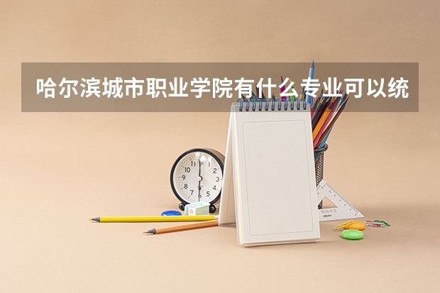 哈尔滨城市职业学院有什么专业可以统招专升本？