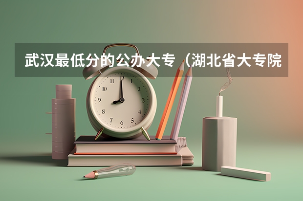 武汉最低分的公办大专（湖北省大专院校排名）