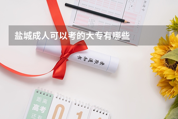盐城成人可以考的大专有哪些