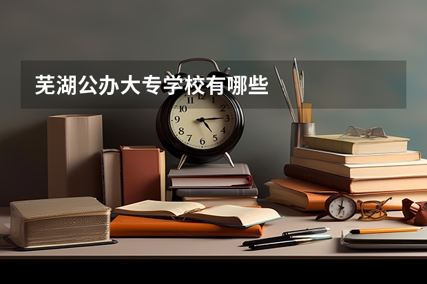 芜湖公办大专学校有哪些