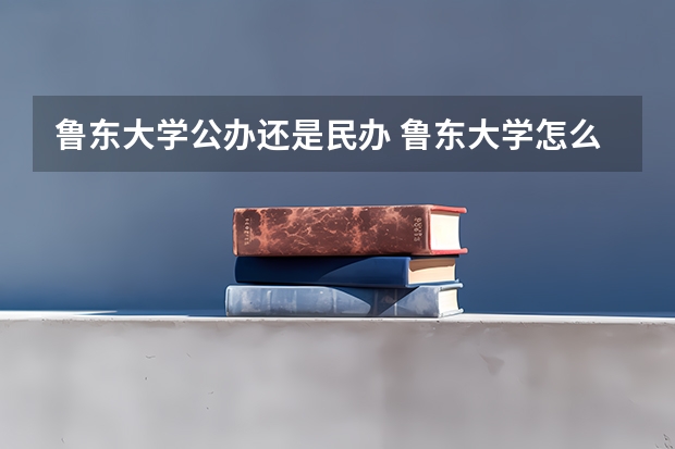 鲁东大学公办还是民办 鲁东大学怎么样