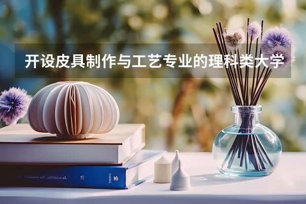 开设皮具制作与工艺专业的理科类大学详解