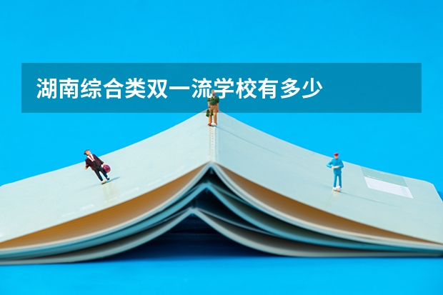 湖南综合类双一流学校有多少