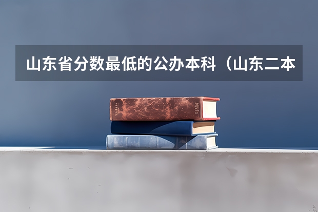 山东省分数最低的公办本科（山东二本录取分数最低的大学）