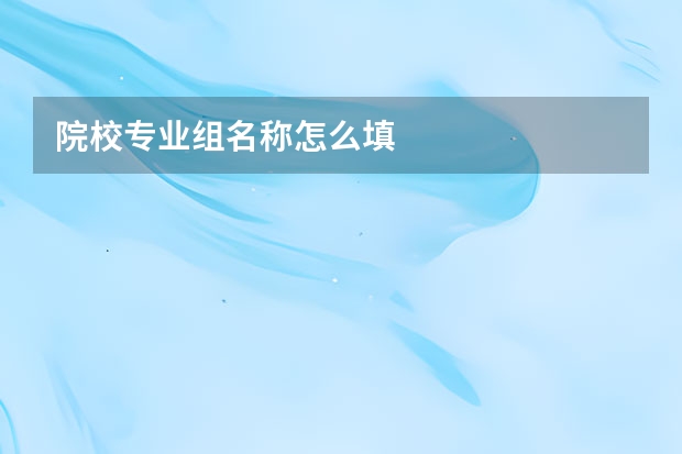 院校专业组名称怎么填