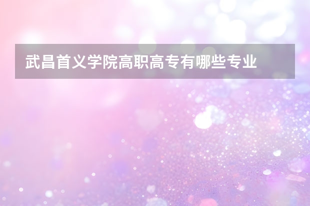 武昌首义学院高职高专有哪些专业