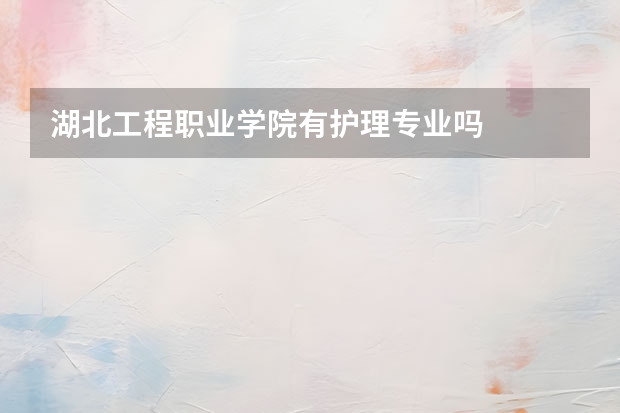 湖北工程职业学院有护理专业吗