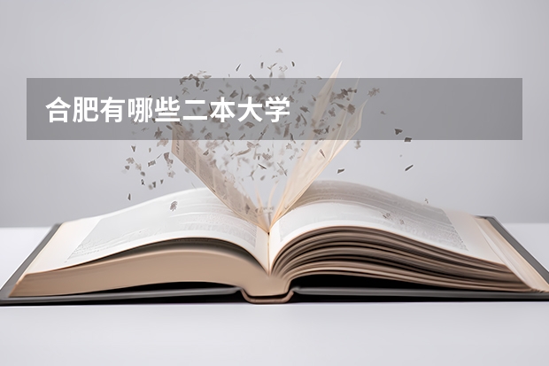 合肥有哪些二本大学