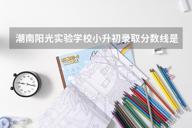潮南阳光实验学校小升初录取分数线是多少