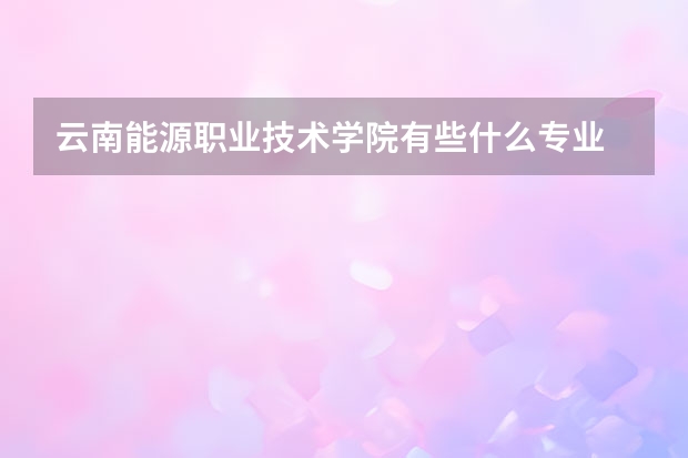 云南能源职业技术学院有些什么专业