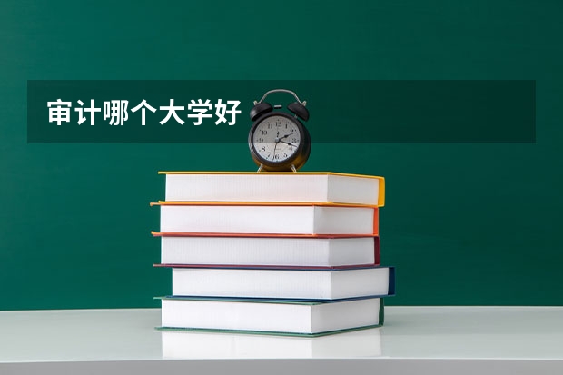审计哪个大学好