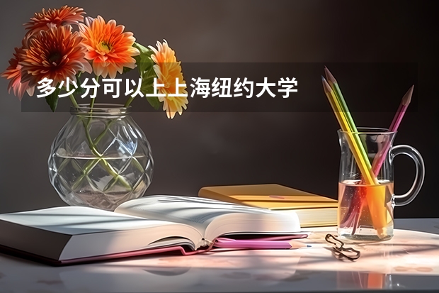 多少分可以上上海纽约大学