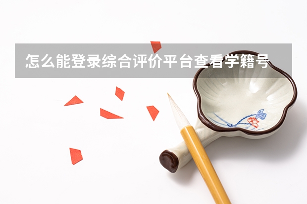 怎么能登录综合评价平台查看学籍号
