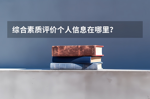 综合素质评价个人信息在哪里?