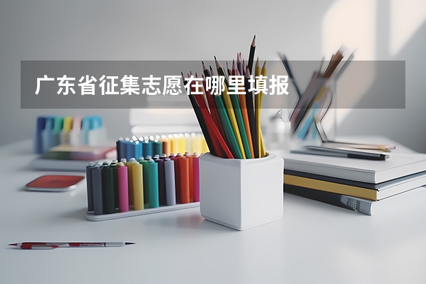 广东省征集志愿在哪里填报