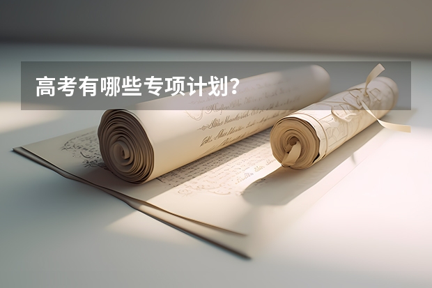高考有哪些专项计划？